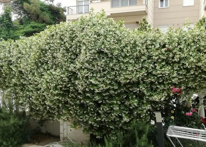 Corner شقة Peraía